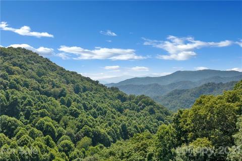 210 Angel Falls Rd, Clyde, NC 28721 photo 38
