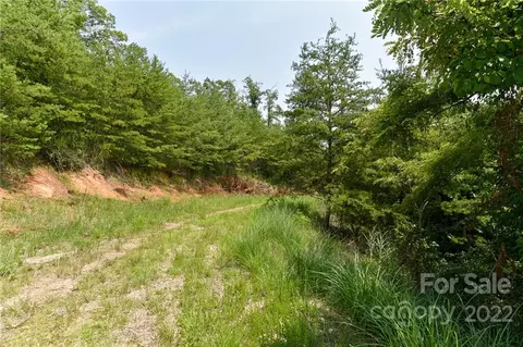 9 The Vines Boulevard #LOT 9, Marshall, NC 28753