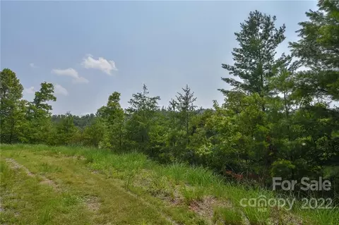 11 The Vines Boulevard #LOT 11, Marshall, NC 28753