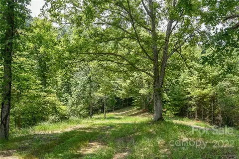 492 The Vines 14 Blvd #14, Marshall, NC 28753