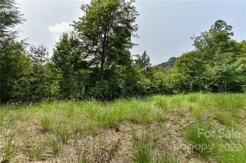 441 The Vines 15 Blvd #15, Marshall, NC 28753