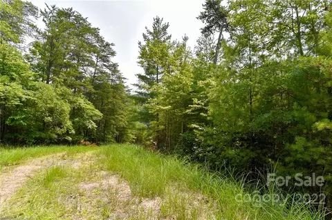 22 The Vines Boulevard #LOT 22, Marshall, NC 28753