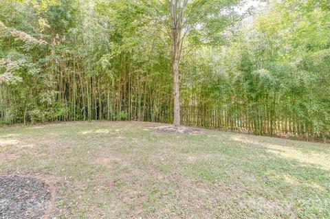 18312 Torrence Chapel Estates Cir, Cornelius, NC 28031 photo 28