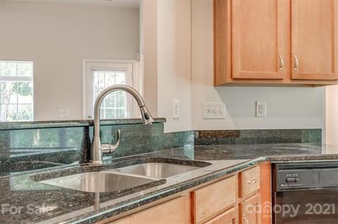 18312 Torrence Chapel Estates Cir, Cornelius, NC 28031 photo 22