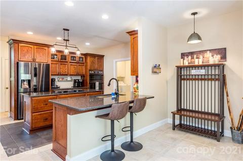 100 Hannah Dr, Mill Spring, NC 28756 photo 13