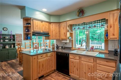 69 Renea Dr, Brevard, NC 28712 photo 14