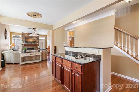 20224 Amy Lee Dr, Cornelius, NC 28031 photo 5