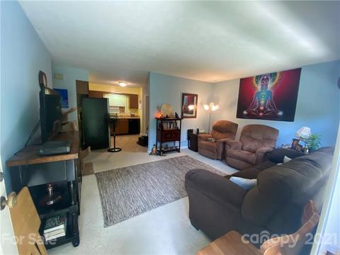 96 Blue Ridge Development Rd, Fairview, NC 28730 photo 3