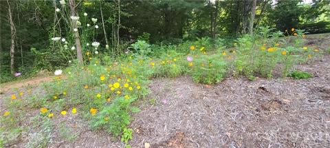 110 Ryan Cove Rd, Fletcher, NC 28732 photo 28