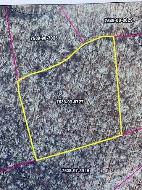 Mountain Forest Estates Road, Sylva, NC 28779
