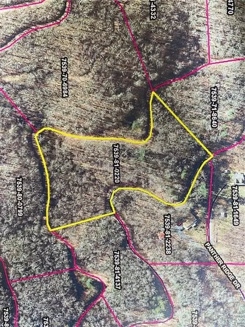 Mountain Forest Estates Road, Sylva, NC 28779