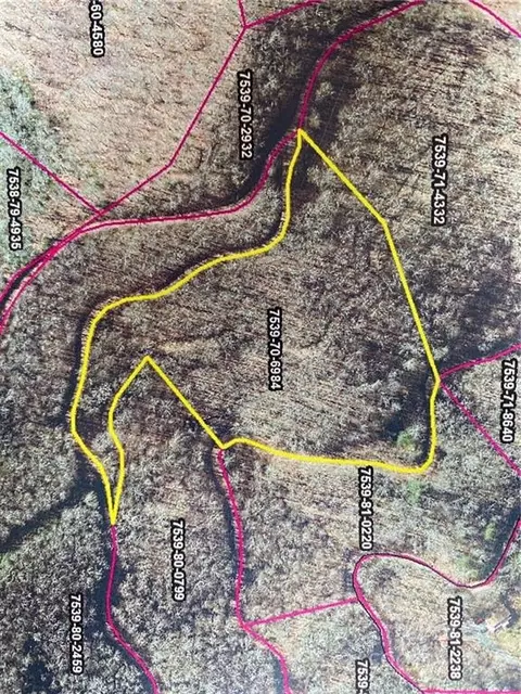 Mountain Forest Estates Road, Sylva, NC 28779