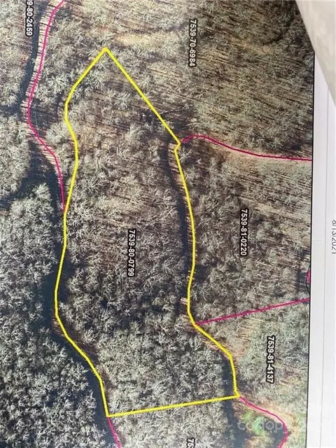 Mountain Forest Estates Road, Sylva, NC 28779