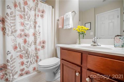 20532 Harbor View Dr, Cornelius, NC 28031 photo 35