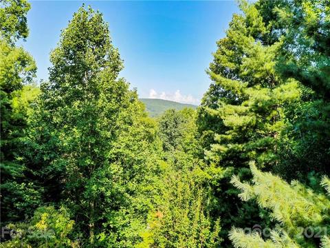 5 Wallington Ct, Flat Rock, NC 28731 photo 41