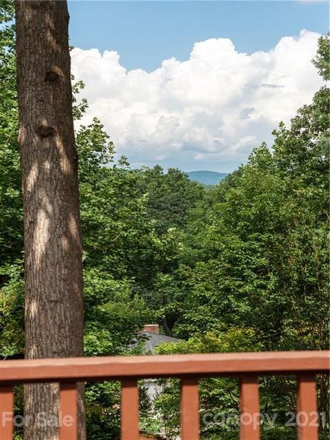 5 Wallington Ct, Flat Rock, NC 28731 photo 23