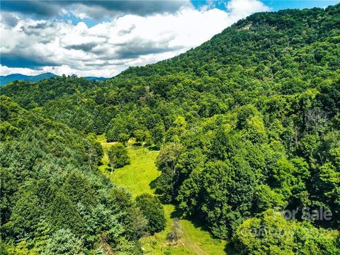 230 Split Pine Cv, Clyde, NC 28721 photo 17