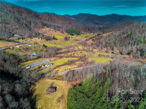 230 Split Pine Cv, Clyde, NC 28721 photo 3