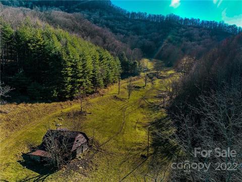 230 Split Pine Cv, Clyde, NC 28721 photo 4