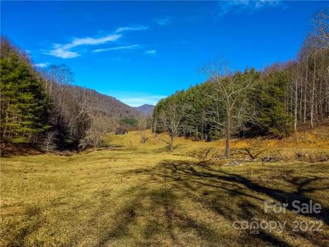 230 Split Pine Cv, Clyde, NC 28721 photo 6
