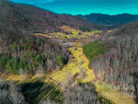 230 Split Pine Cv, Clyde, NC 28721 photo 2