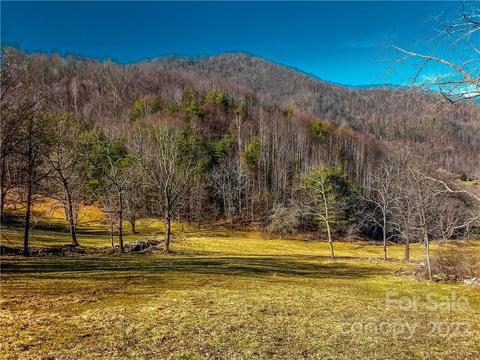 230 Split Pine Cv, Clyde, NC 28721 photo 5