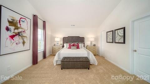 239 Final Stretch Ln, Clover, SC 29710 photo 18
