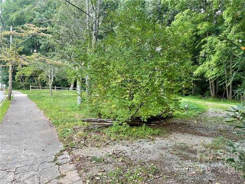 401 E Main St, Brevard, NC 28712 photo 6