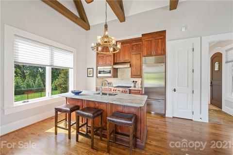715 Davidson Run Ln, Davidson, NC 28036 photo 32