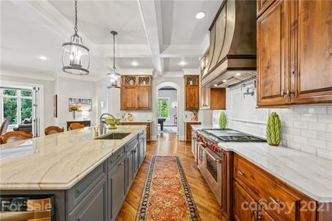 715 Davidson Run Ln, Davidson, NC 28036 photo 10