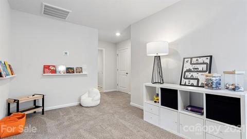 312 Gaines Dr, Clover, SC 29710 photo 19