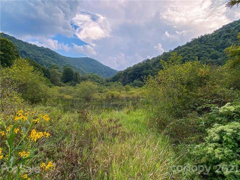 217 Rash Rd, Todd, NC 28684 photo 2