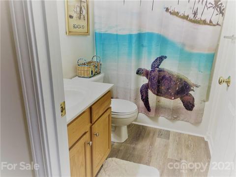 7645 Bluff Point Ln, Denver, NC 28037 photo 23