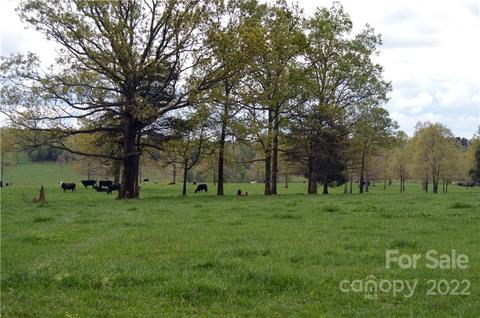 000 Peniel Rd, Tryon, NC 28782 photo 9
