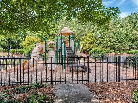 20912 Windshore Ave, Cornelius, NC 28031 photo 33