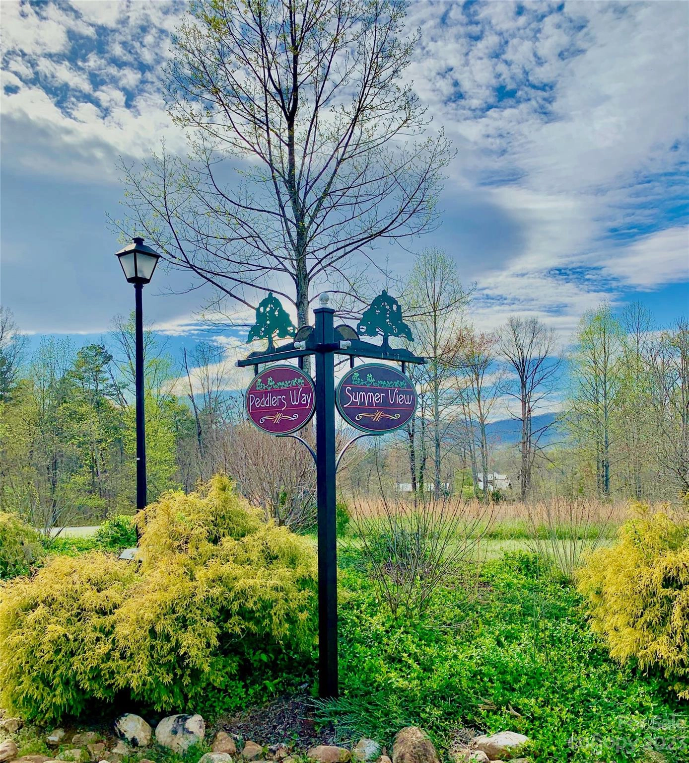 Summer Lot 28 Vw Lot 28