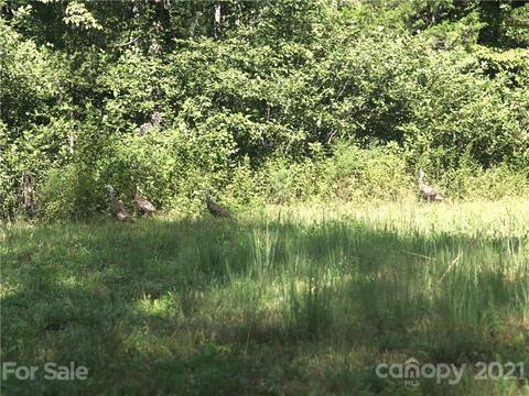 2915 Big Level Rd, Mill Spring, NC 28756 photo 20