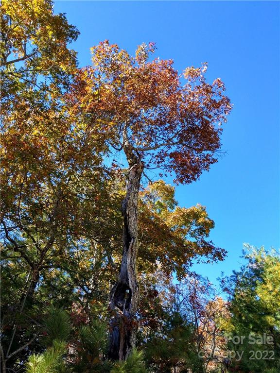 000 Emma Bri F2 Ln Unit F2  