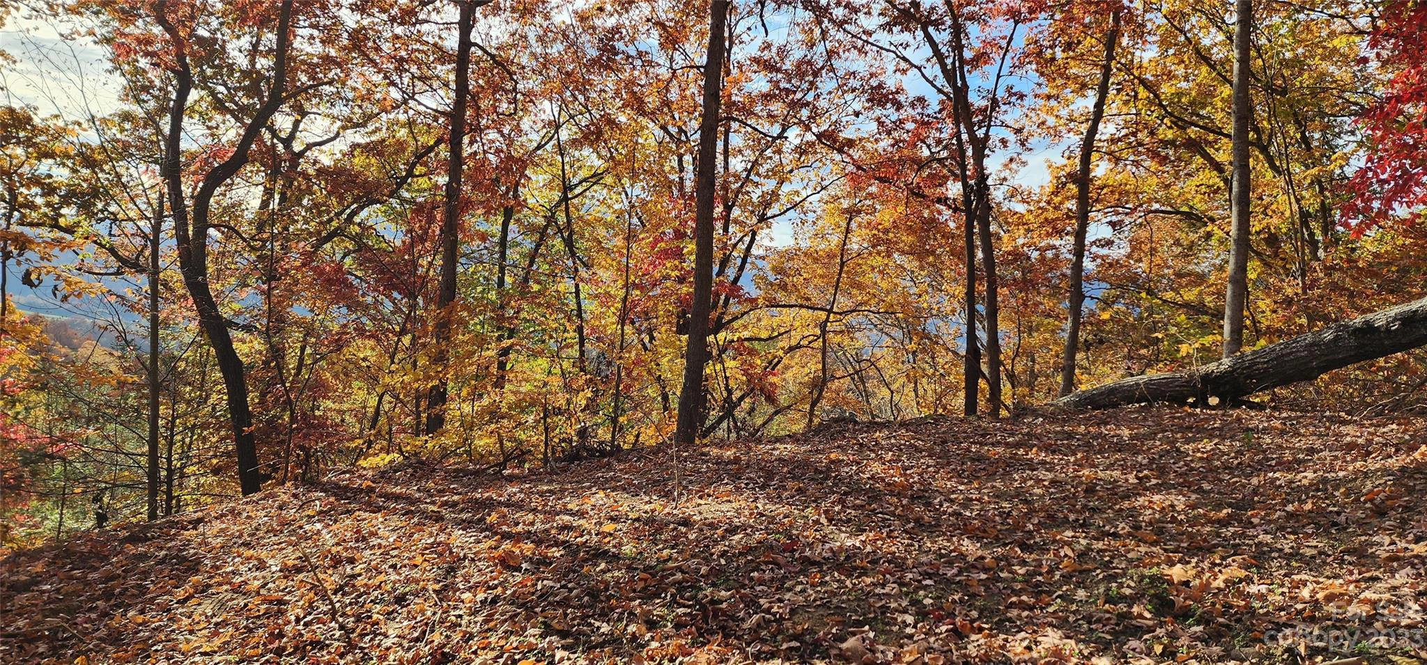 Lono 19b Ln Unit 19B  