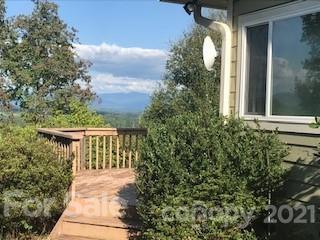 224 Firefly Dr, Marshall, NC 28753 photo 29