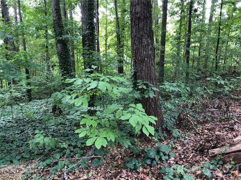 620 Bee Tree Rd, Salisbury, NC 28146 photo 39