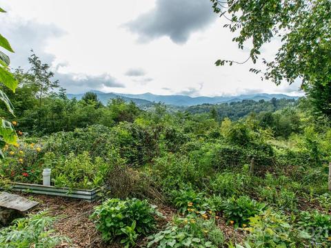 32 Flint St, Canton, NC 28716 photo 34