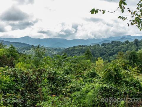 32 Flint St, Canton, NC 28716 photo 35