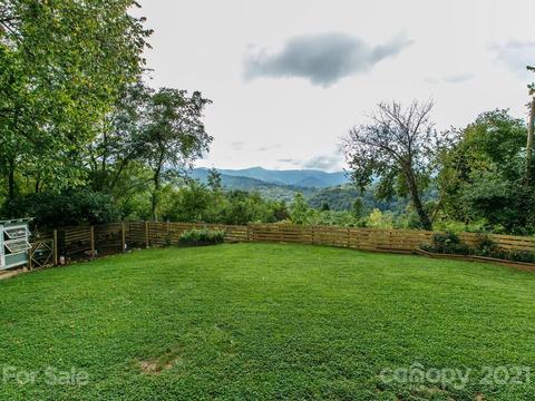 32 Flint St, Canton, NC 28716 photo 36