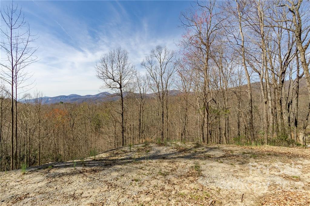 99999 Wolf Pen 971 Rd Unit 971