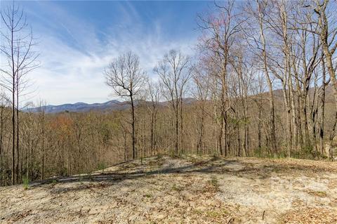 99999 Wolf Pen 971 Rd #971, Old Fort, NC 28762