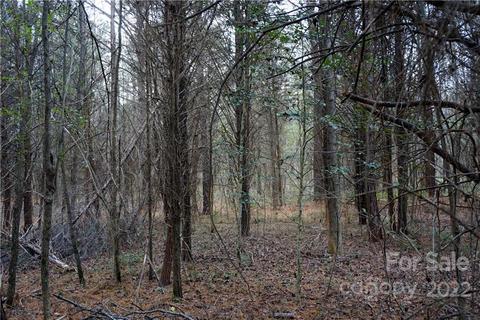 9 Ac Burree Rd, Clover, SC 29710 photo 17
