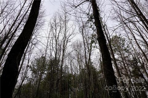 9 Ac Burree Rd, Clover, SC 29710 photo 22