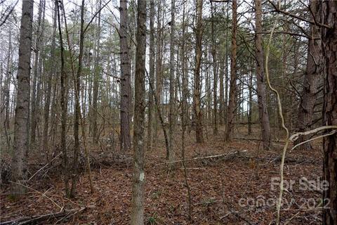 9 Ac Burree Rd, Clover, SC 29710 photo 20