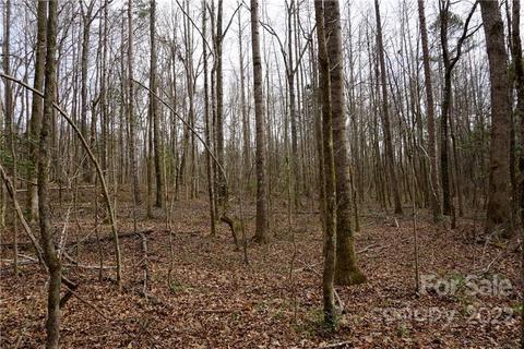9 Ac Burree Rd, Clover, SC 29710 photo 3